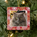 Search for pet memorial christmas tree decorations Dog
