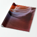 Search for antelope wrapping paper Nature