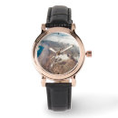 Search for flat earth watches Space