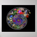 Search for evolution chart posters Dna