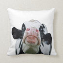 Search for black and white spots cushions Farm