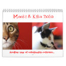 Search for bengal cat calendars Cute