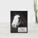 Search for horse birthday cards Cowgirl