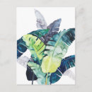 Search for frond postcards Twilight