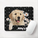 Search for star dog electronics Puppy