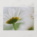 Search for canada landscape postcards Garden