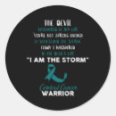 Search for cervical stickers Cervical cancer awareness