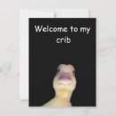 Search for funny meme postcards Duck