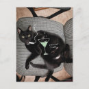 Search for internets postcards Internet cat celebrity