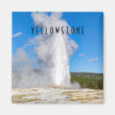 Search for yellowstone national park magnets Wyoming