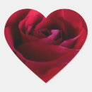 Search for romantic red roses stickers Flower