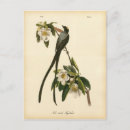 Search for vintage thinking of you cards Bird