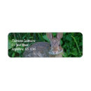Search for rabbits return address labels For her