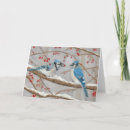 Search for blue jay cards Blank