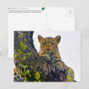 Search for tanzania postcards Travel