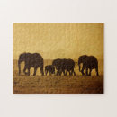 Search for elephant family puzzles Africa