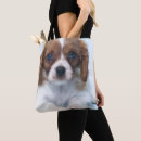 Search for innocent bags One animal