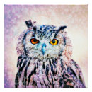 Search for mixed media posters Owls