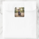 Search for basketball player stickers Funny