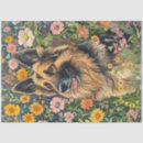 Search for german shepherd tissue paper Decoupage