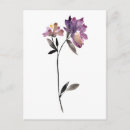 Search for iii postcards Florals
