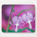 Search for credit mousepads Nature