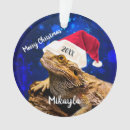 Search for santa dragon christmas tree decorations Beardie