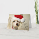 Search for chinese christmas cards No people