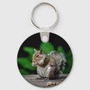 Search for squirrel picture key rings Rodent