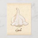 Search for bulb postcards Garlic