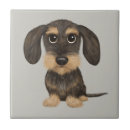 Search for cartoon tiles Dog