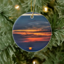 Search for florida christmas tree decorations Sky