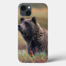Search for np ipad cases Environment