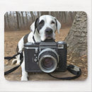 Search for danes electronics Dog