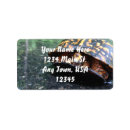 Search for green turtle return address labels Nature