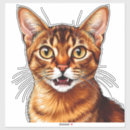 Search for cat head stickers Close up