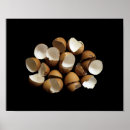 Search for pictures of shells art Funny