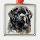 Search for giant christmas tree decorations Dog