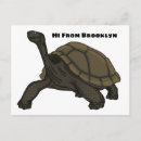 Search for land turtle postcards Reptile