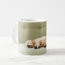 Search for baby sleeping mugs Domestic animals