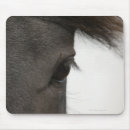 Search for horse eye electronics Outdoors