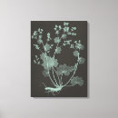Search for botanical study art Flowers