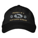 Search for flatness hats Dog