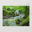Search for green living postcards Nature