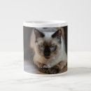 Search for ragdoll cat mugs Feline