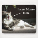 Search for bathe mousepads Cat