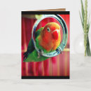 Search for hooping cards Bird