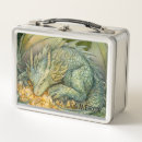 Search for dragon lunch boxes Magical