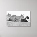 Search for focus art Black and white