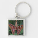 Search for moths key rings Animal